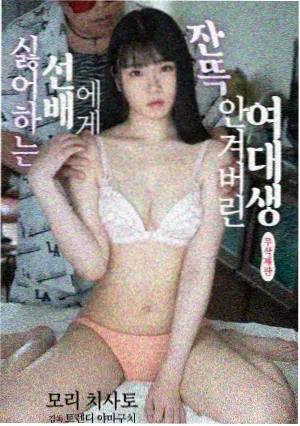 回声档案 刑侦剧集